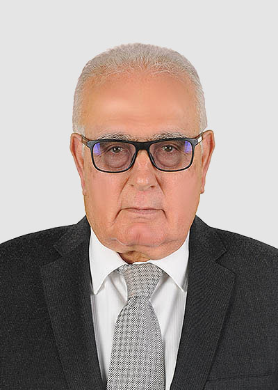 Salim Mamlouk